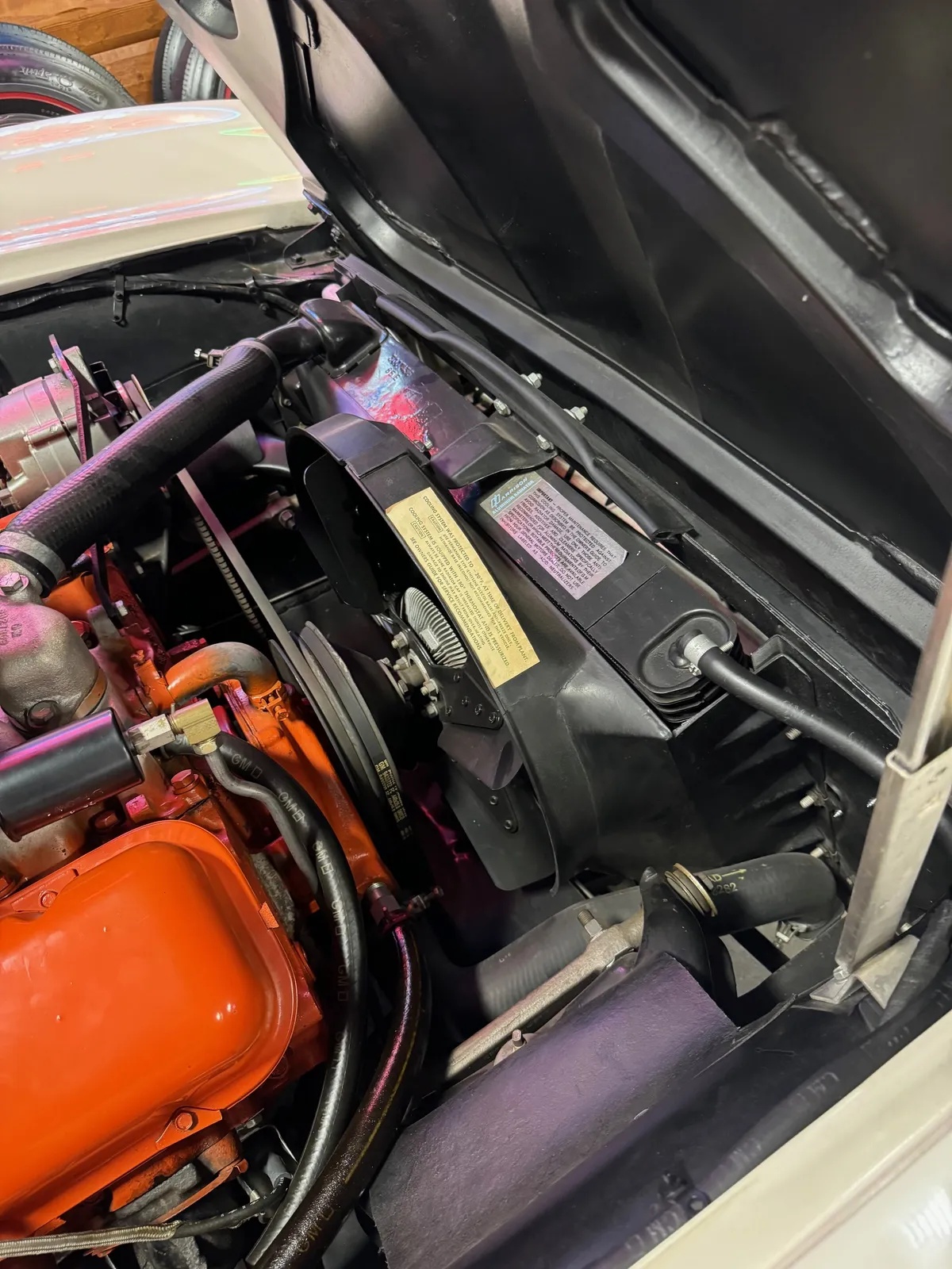 Chevrolet-Corvette-1965-White-Red-12