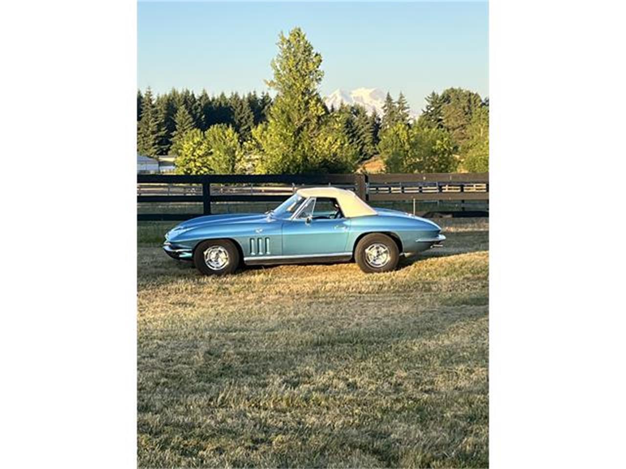 Chevrolet-Corvette-1966-Blue-Blue-2