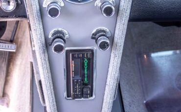 Chevrolet-Corvette-1966-Coupe-25
