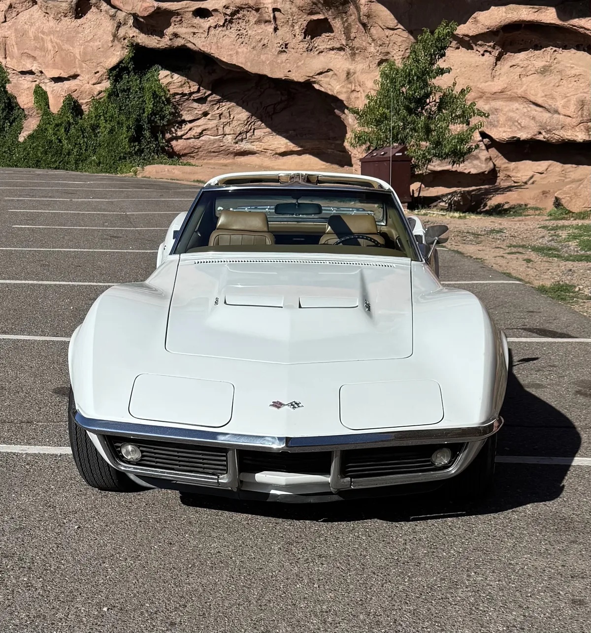 Chevrolet-Corvette-1969-Can-Am-White-Saddle-Beige-16