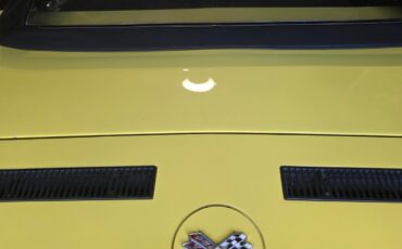 Chevrolet-Corvette-1969-Convertible-18