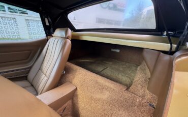 Chevrolet-Corvette-1969-Convertible-27