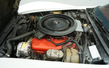 Chevrolet-Corvette-1973-Classic-White-Red-9