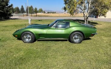 Chevrolet-Corvette-1973-Elkhart-Green-Saddle-Leather-1