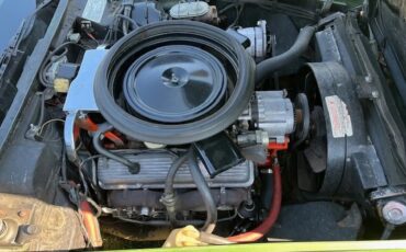 Chevrolet-Corvette-1973-Elkhart-Green-Saddle-Leather-4