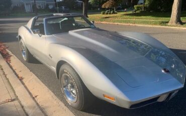 Chevrolet-Corvette-1973-Lt-Grey-Black-12