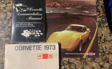 Chevrolet-Corvette-1973-Lt-Grey-Black-14