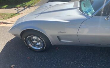 Chevrolet-Corvette-1973-Lt-Grey-Black-2