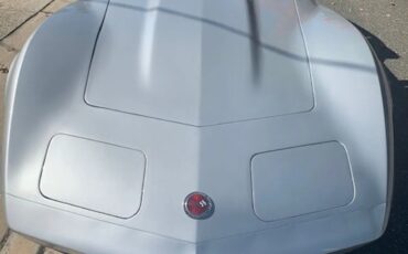 Chevrolet-Corvette-1973-Lt-Grey-Black-4