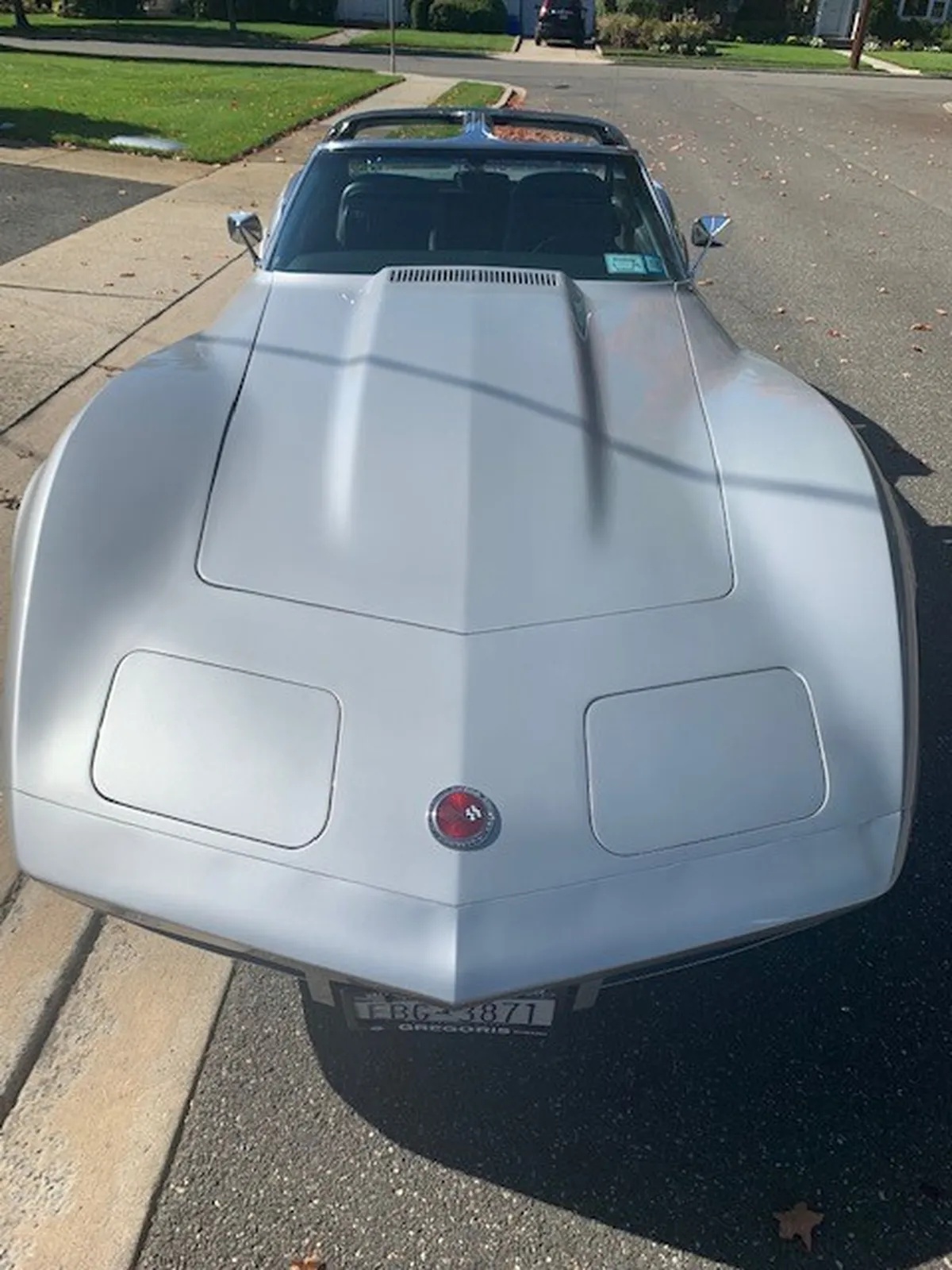 Chevrolet-Corvette-1973-Lt-Grey-Black-4