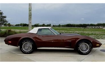 Chevrolet-Corvette-1974-Convertible-3