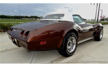 Chevrolet-Corvette-1974-Convertible-5