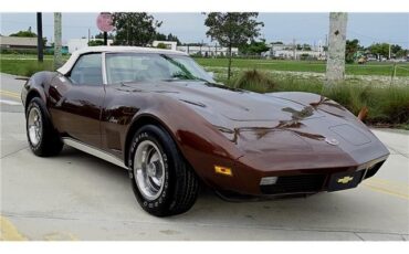 Chevrolet-Corvette-1974-Convertible-6