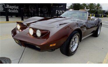 Chevrolet-Corvette-1974-Convertible-7
