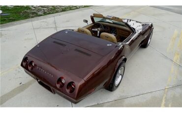 Chevrolet-Corvette-1974-Convertible-8