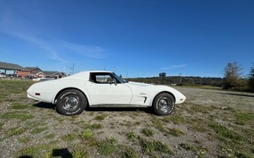 Chevrolet-Corvette-1976-Coupe-1