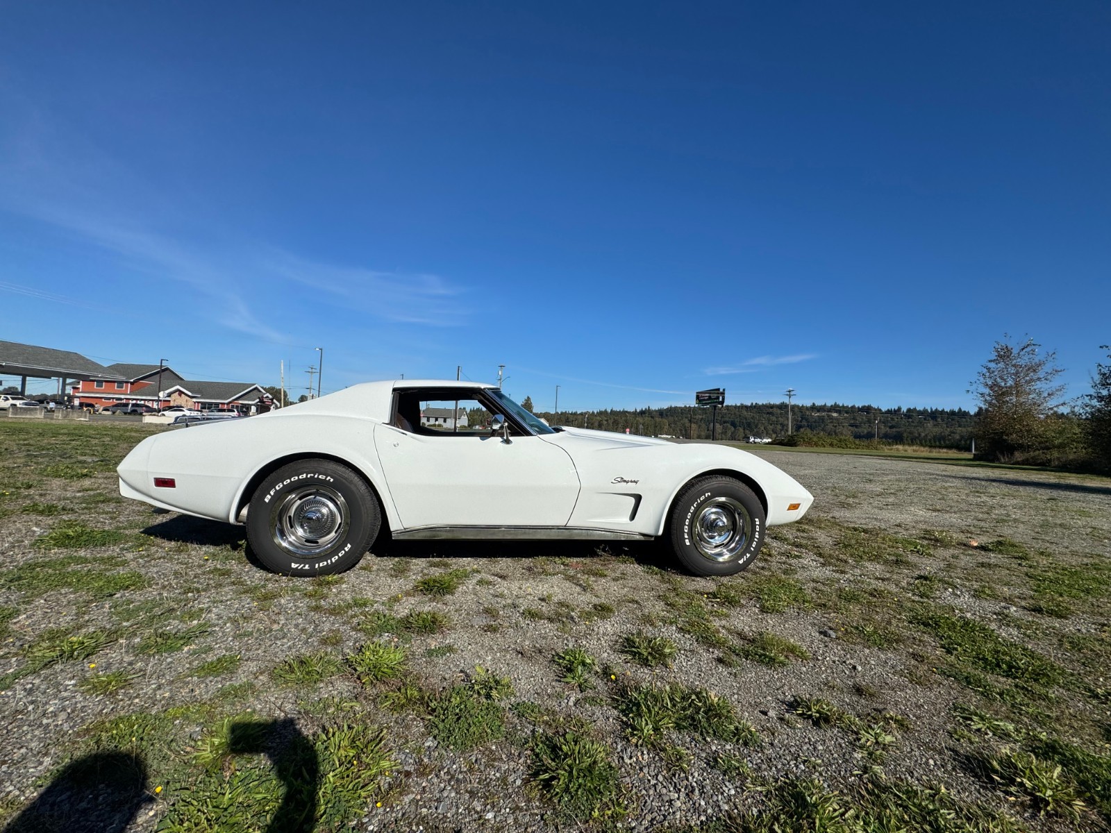 Chevrolet-Corvette-1976-Coupe-1