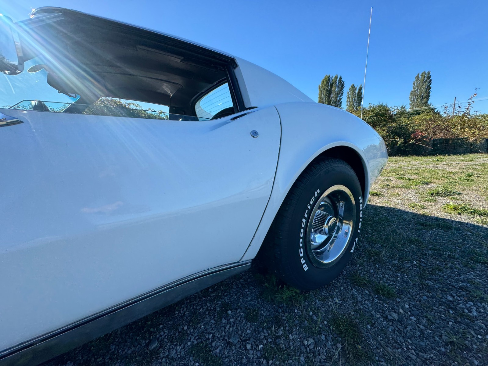 Chevrolet-Corvette-1976-Coupe-12