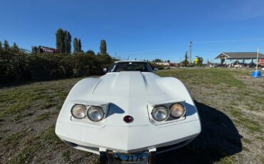 Chevrolet-Corvette-1976-Coupe-14