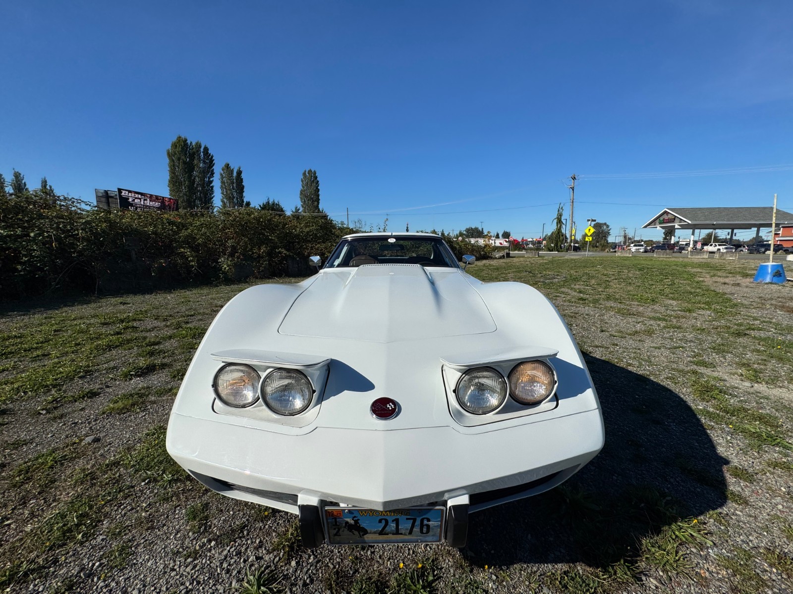 Chevrolet-Corvette-1976-Coupe-14