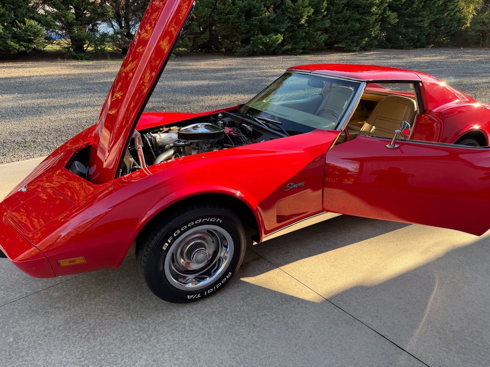 Chevrolet-Corvette-1976-Coupe-27