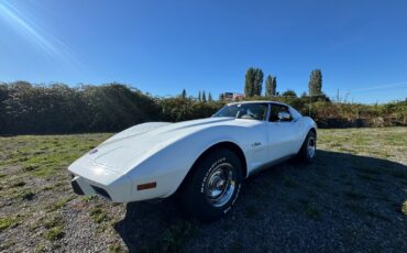 Chevrolet-Corvette-1976-Coupe-3