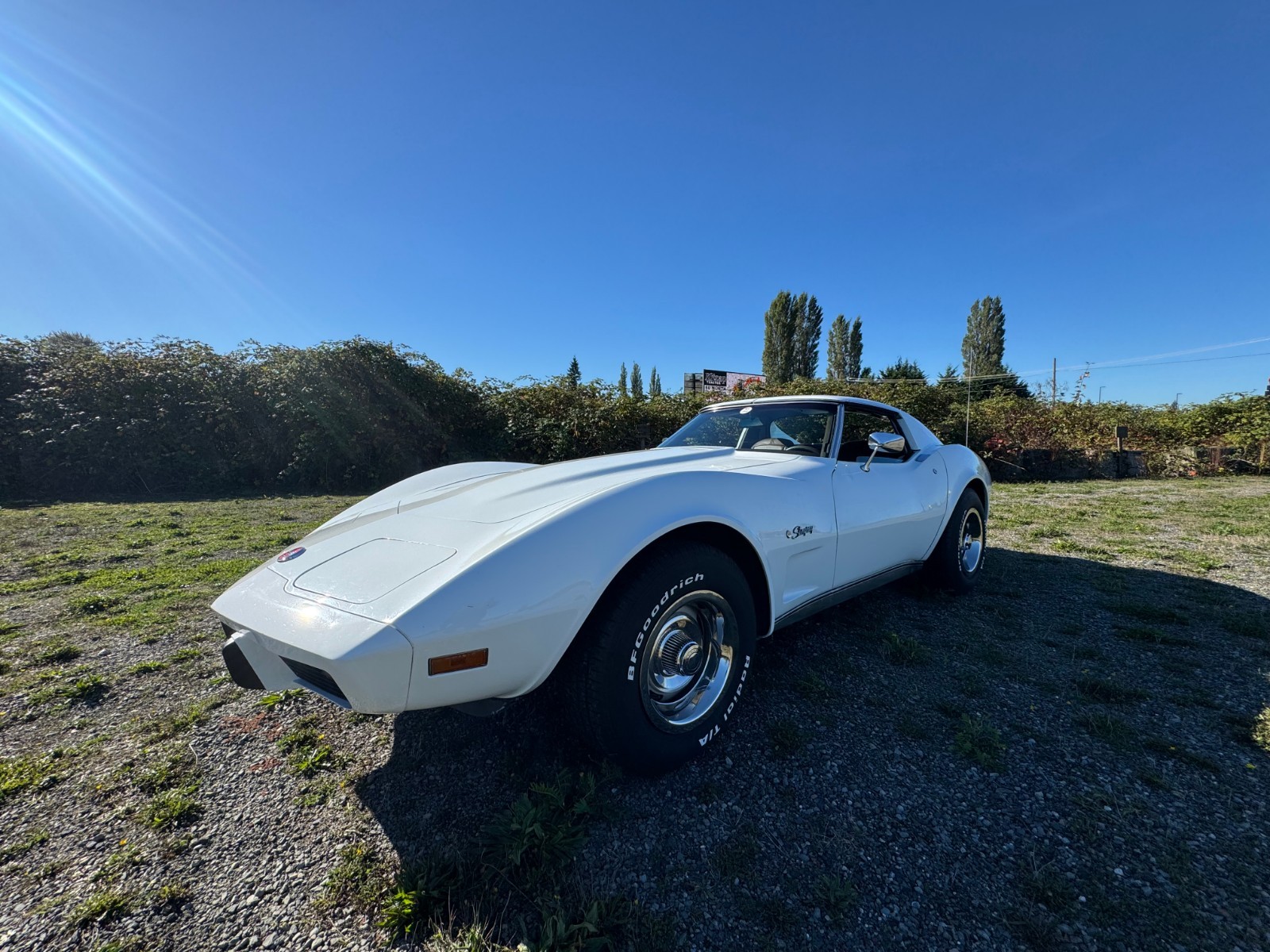 Chevrolet-Corvette-1976-Coupe-3