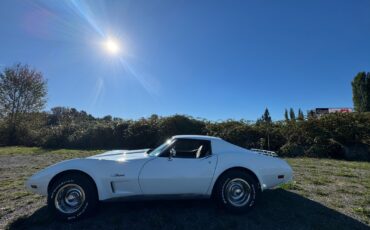 Chevrolet-Corvette-1976-Coupe