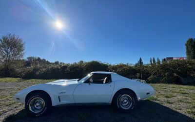Chevrolet Corvette 1976 Coupe