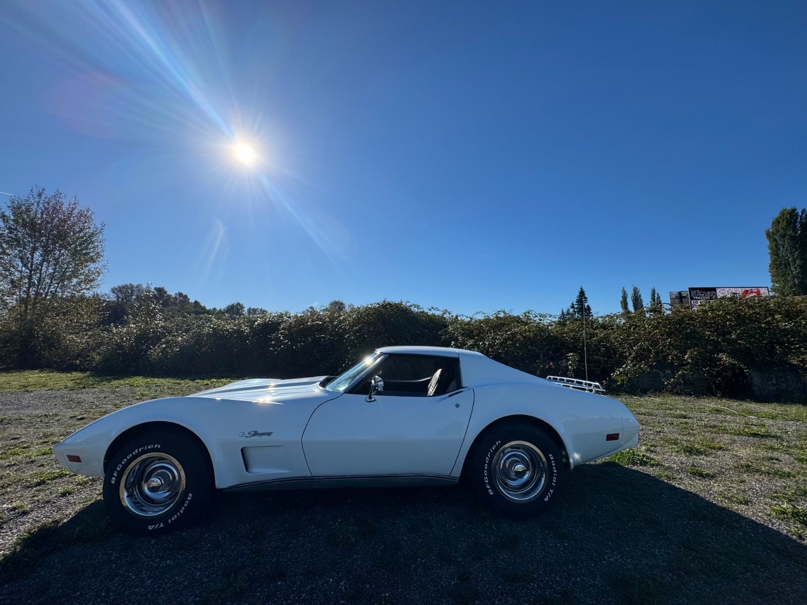 Chevrolet-Corvette-1976-Coupe