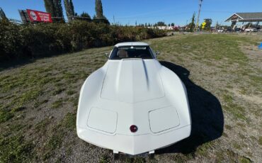 Chevrolet-Corvette-1976-Coupe-4