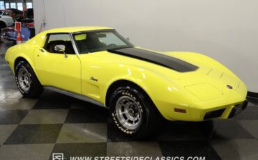 Chevrolet-Corvette-1976-Yellow-Dark-Brown-16