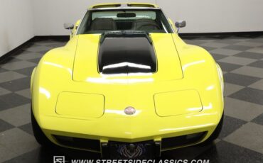 Chevrolet-Corvette-1976-Yellow-Dark-Brown-18
