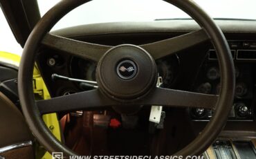 Chevrolet-Corvette-1976-Yellow-Dark-Brown-36