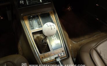 Chevrolet-Corvette-1976-Yellow-Dark-Brown-39