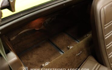 Chevrolet-Corvette-1976-Yellow-Dark-Brown-43