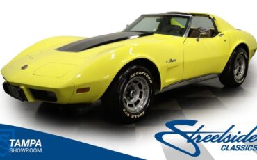 Chevrolet-Corvette-1976-Yellow-Dark-Brown-6