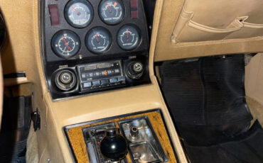 Chevrolet-Corvette-1976-stingray-5