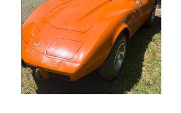 Chevrolet-Corvette-1977-Orange-Buckskin