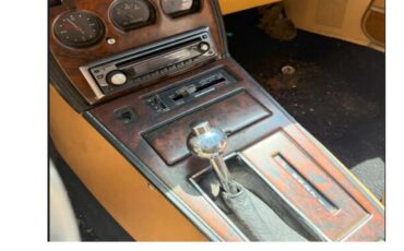 Chevrolet-Corvette-1977-Orange-Buckskin-7