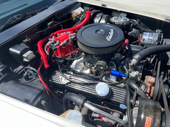 Chevrolet-Corvette-1977-Pearl-White-11