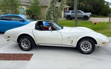 Chevrolet-Corvette-1977-Pearl-White-16