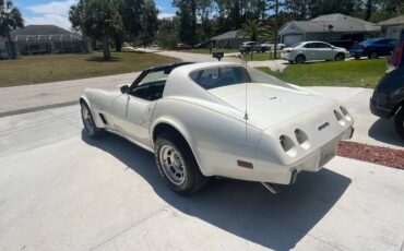 Chevrolet-Corvette-1977-Pearl-White-19
