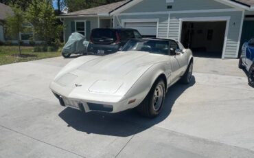 Chevrolet-Corvette-1977-Pearl-White-20