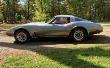 Chevrolet-Corvette-1978-2-Tone-Silver-And-Gray-Red