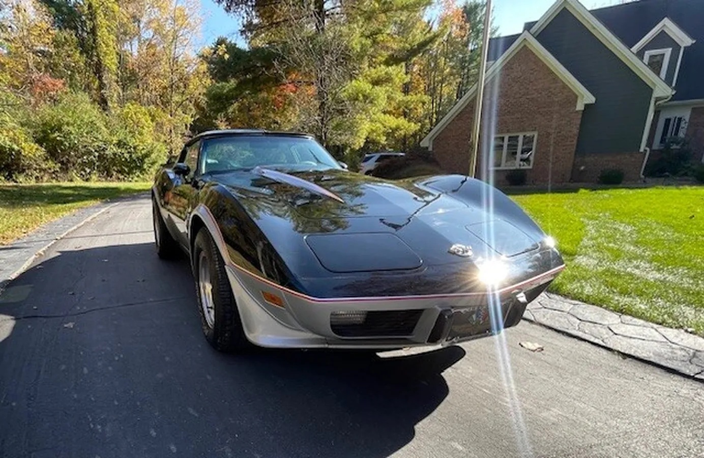 Chevrolet-Corvette-1978-Black-Silver-Silver-5