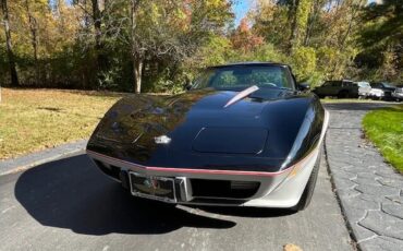 Chevrolet-Corvette-1978-Black-Silver-Silver-7