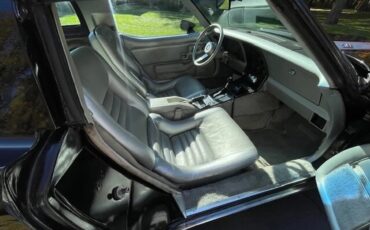 Chevrolet-Corvette-1978-Black-Silver-Silver-8