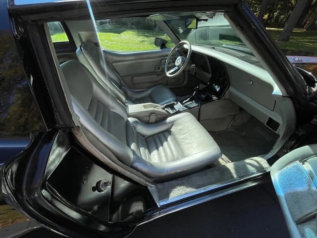 Chevrolet-Corvette-1978-Black-Silver-Silver-8