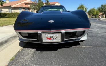 Chevrolet-Corvette-1978-Black-amp-Silver-Grey-10